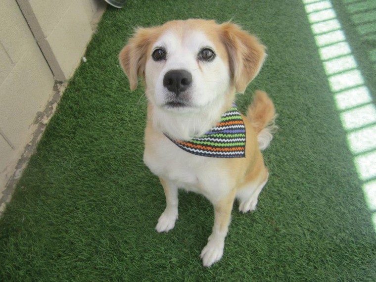Someone to love: Lucky Girl